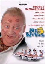 Film My 5 Wives (2000) ilk21 Sub Indo