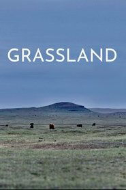 Film Grassland (2023)