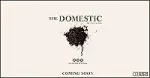 Film The Domestic (2022)