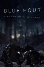Blue Hour: The Disappearance of Nick Brandreth (2026)