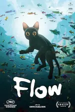 Film Flow (2024)