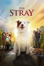 Film The Stray (2017) ilk21 Sub Indo