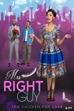 Mrs Right Guy (2016)